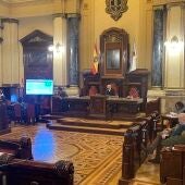 José Manuel Lage preside el pleno extraordinario para elegir a los miembros de las mesas electorales del 18F