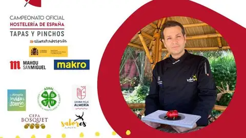 tolo castillo-tapas y pinchos tolo castillo-tapas y pinchos