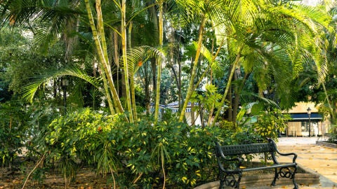 PASEO DE LA ALAMEDA