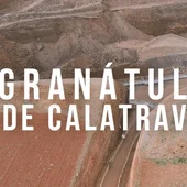 Granátula de Calatrava Granátula de Calatrava