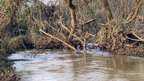 inundaciones 