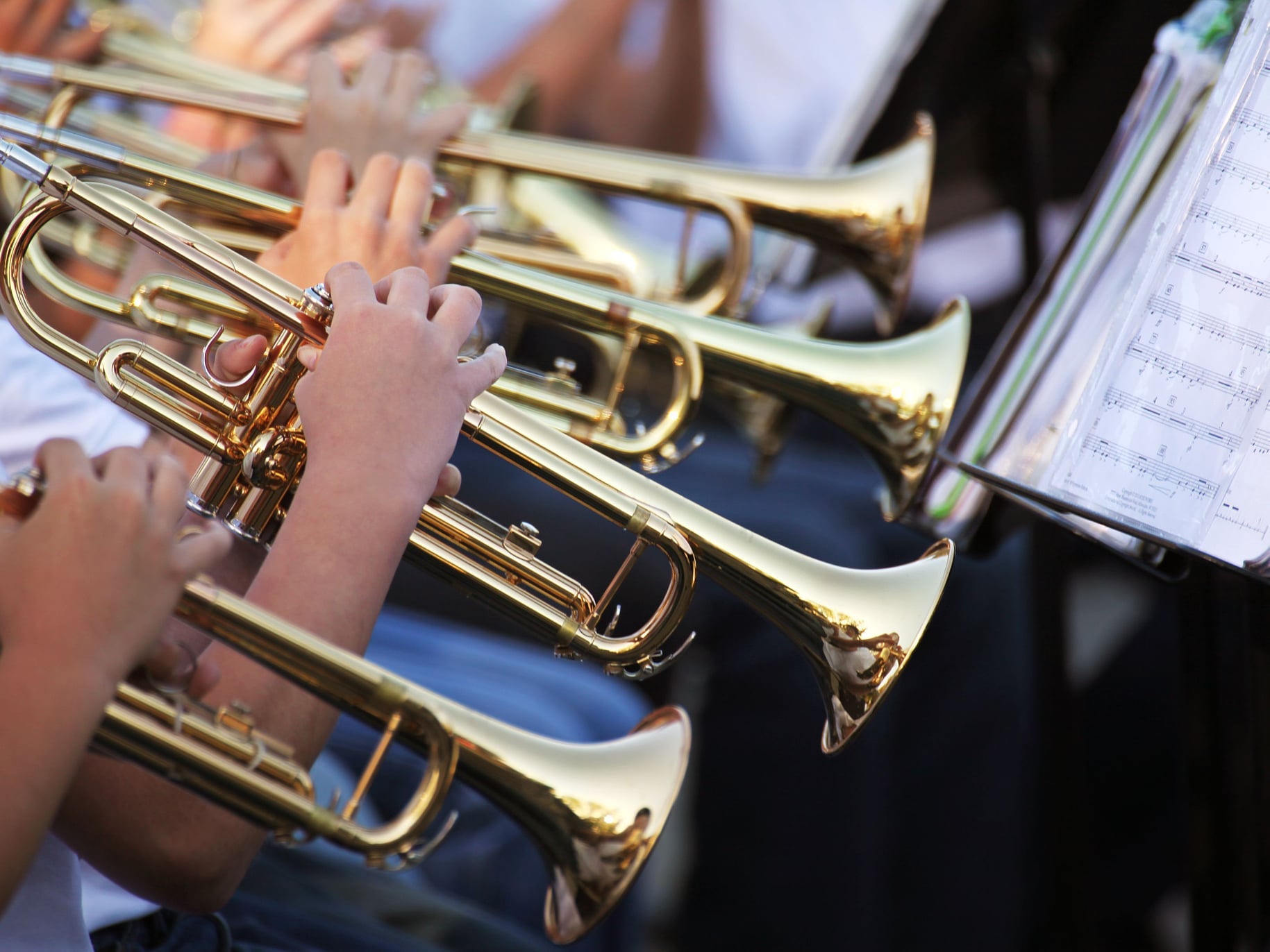 Te contamos cómo funcionan las bandas de música de Málaga Te contamos cómo funcionan las bandas de música de Málaga