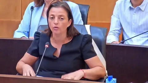El PSOE de Benidorm presenta hasta 20 propuestas para incorporar al presupuesto de este año El PSOE de Benidorm presenta hasta 20 propuestas para incorporar al presupuesto de este año