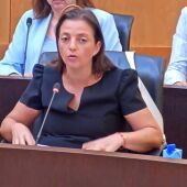 El PSOE de Benidorm presenta hasta 20 propuestas para incorporar al presupuesto de este año