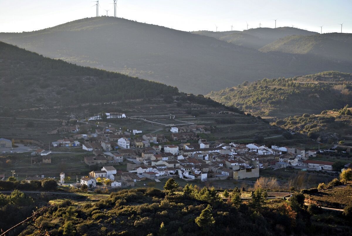La Trufa Negra de Castellón estará presente en la feria trufera de Andilla La Trufa Negra de Castellón estará presente en la feria trufera de Andilla