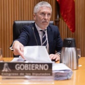 El ministro de Interior, Fernando Grande-Marlaska, durante la Comisión de Interior, en el Congreso de los Diputados