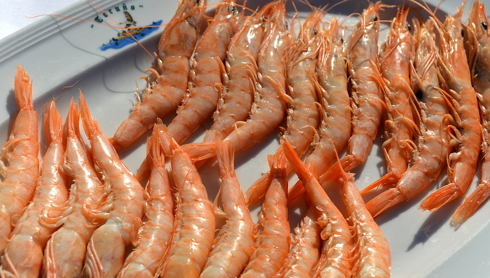 Gambas de Huelva