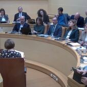 Pleno Ayuntamiento de Segovia