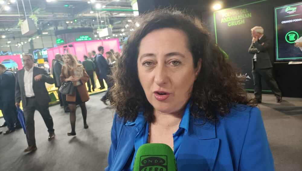 Fitur 2024