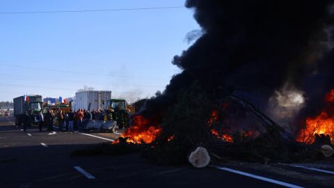 Protestas de agricultores franceses