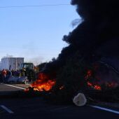 Protestas de agricultores franceses