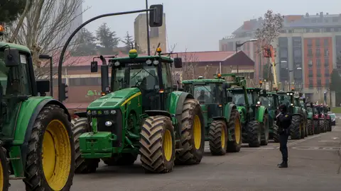 Los agricultores de Zamora se movilizan este martes de forma espontánea por las calles Los agricultores de Zamora se movilizan este martes de forma espontánea por las calles/ EFE/Mariam A. Montesinos