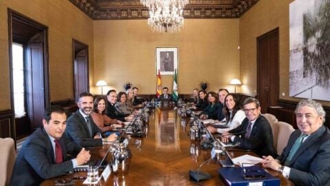 Consejo de Gobierno de la Junta de Andaluc&iacute;a