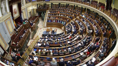 Votació llei amnistia Votació llei amnistia