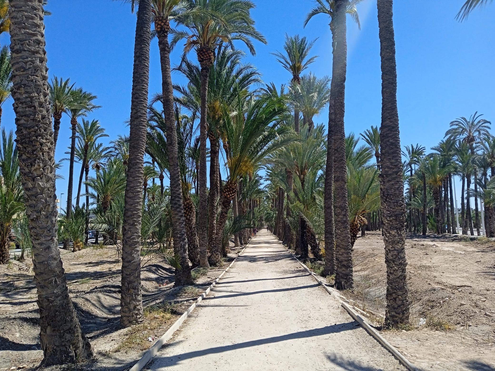 El Hort de Travalón acoge una taller de atxes organizado por el Distrito 5 de Elche El Hort de Travalón acoge una taller de atxes organizado por el Distrito 5 de Elche