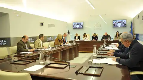Este viernes se aprobarán los primeros presupuestos del Gobierno de Coalición de PP y Vox tras el debate de 901 enmiendas Este viernes se aprobarán los primeros presupuestos del Gobierno de Coalición de PP y Vox tras el debate de 901 enmiendas