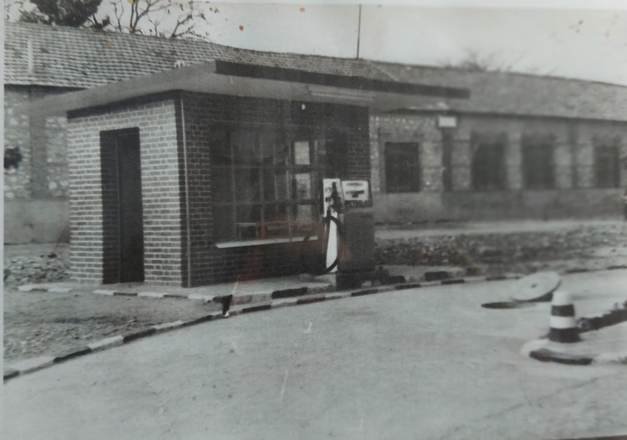 El CEIP Alcalde José Cruz Prado conmemora su centenario El CEIP Alcalde José Cruz Prado conmemora su centenario