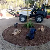 Uso de cartones en un alcorque de Puerto Real Uso de cartones en un alcorque de Puerto Real