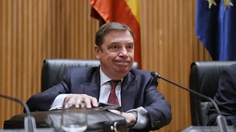 El ministro Agricultura, Pesca y Alimentación, Luis Planas Planas se reúne este viernes con las organizaciones agrarias para abordar "soluciones inmediatas"