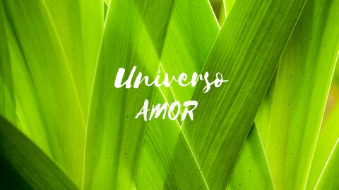 Universo amor