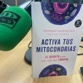 Mitocondrias Mitocondrias