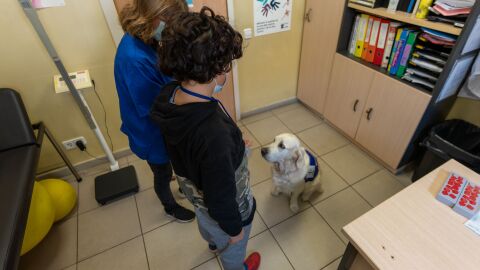 Terapias oncológicas con perros