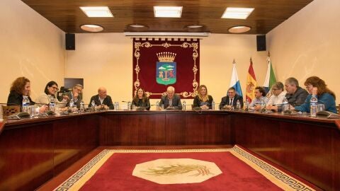 Un pleno del Cabildo de El Hierro