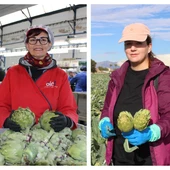 La alcachofa de la Vega Baja lanza ‘Historias con corazón’, una reivindicación del trabajo en la huerta a través de 3 generaciones La alcachofa de la Vega Baja lanza ‘Historias con corazón’, una reivindicación del trabajo en la huerta a través de 3 generaciones