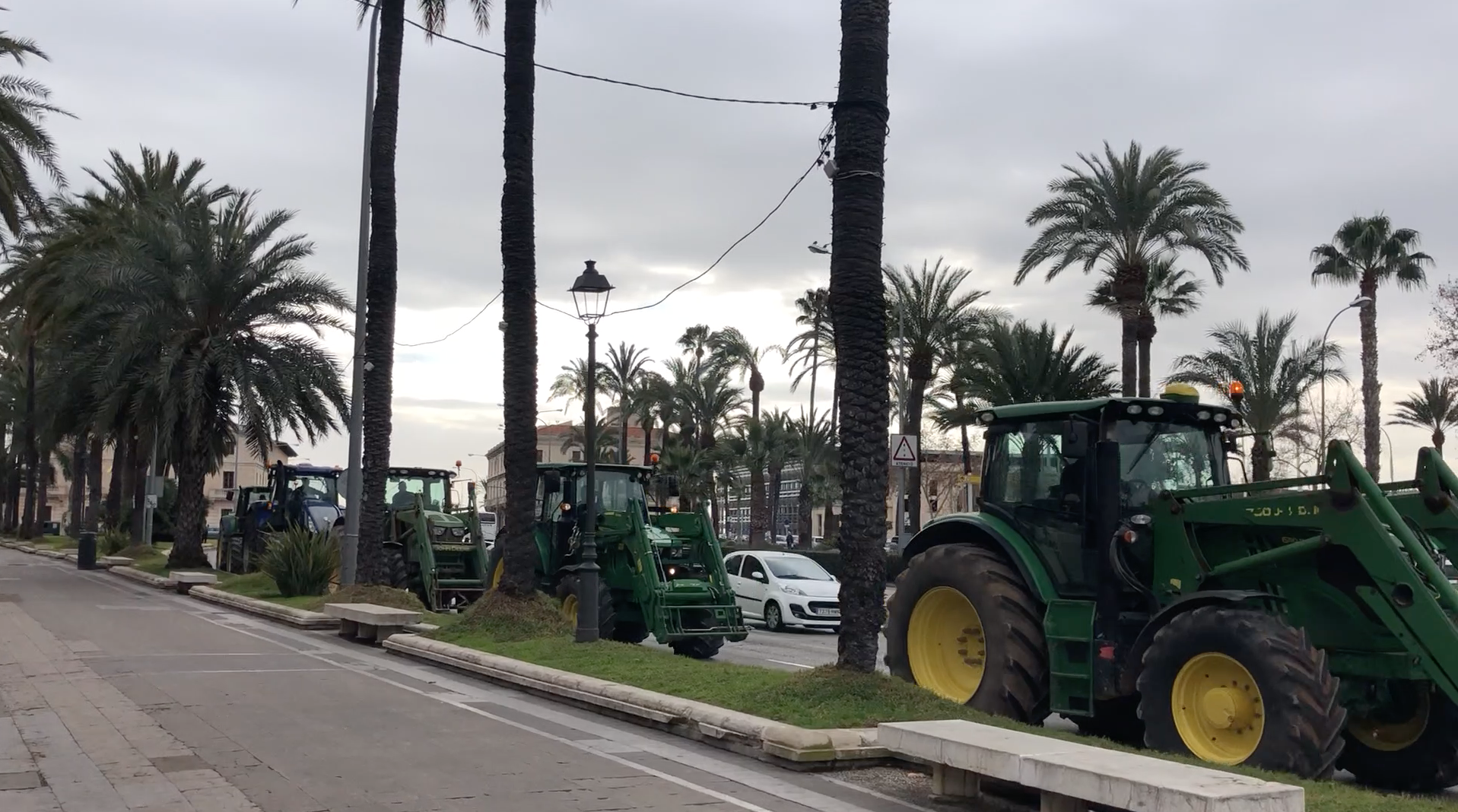 150 tractores se concentrarán a las puertas de Delegación del Gobierno en Palma para que la PAC reconozca la insularidad de Baleares 150 tractores se concentrarán a las puertas de Delegación del Gobierno en Palma para que la PAC reconozca la insularidad de Baleares