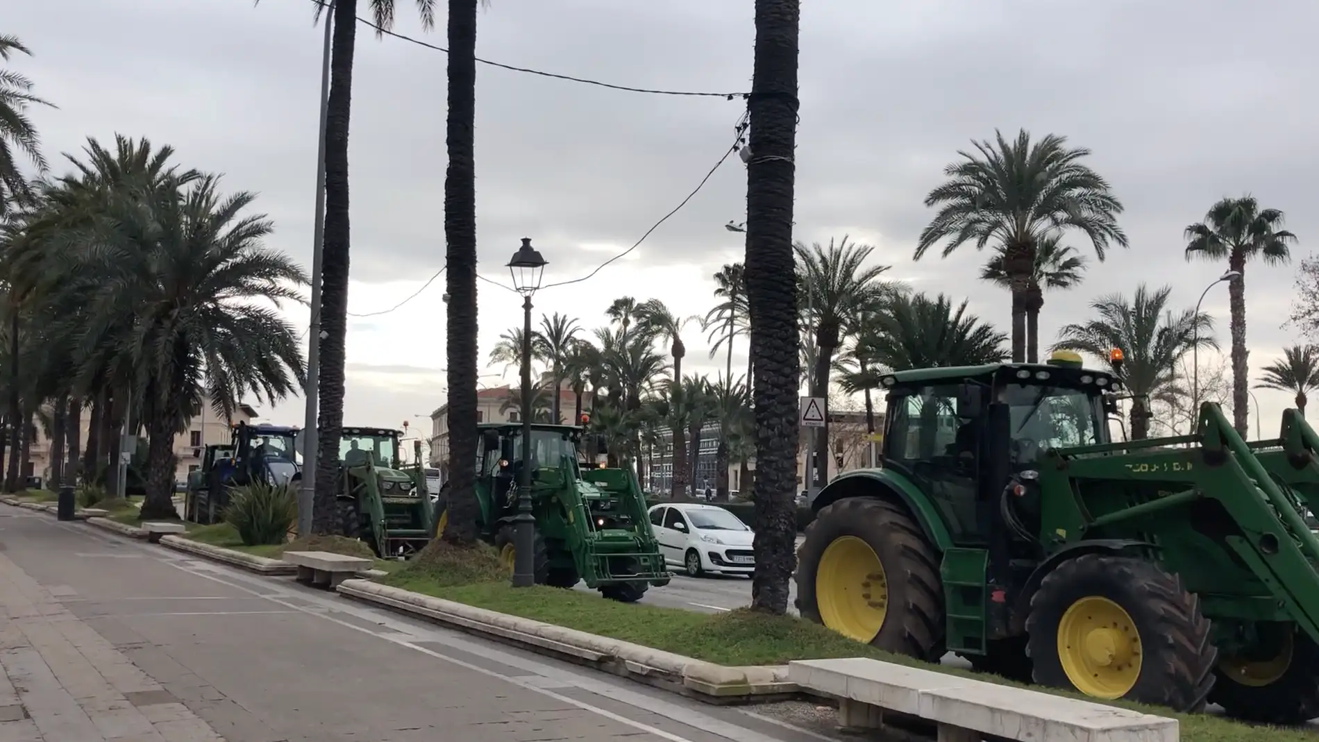 Tractorada convocada por ASAJA-Balears a las puertas del Consolat de Mar (Palma) en una imagen de archivo de 2019