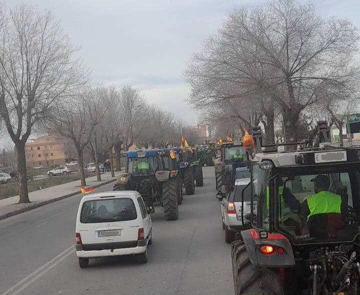 Agricultores y grandes asociaciones han representado el desencuentro que hay ahora mismo entre ellos Agricultores y grandes asociaciones han representado el desencuentro que hay ahora mismo entre ellos