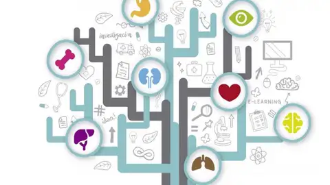 Medicina interna Medicina interna