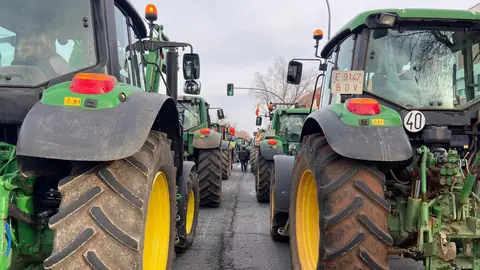 La gran protesta del campo alicantino será el viernes 16 de febrero Protesta agricultores