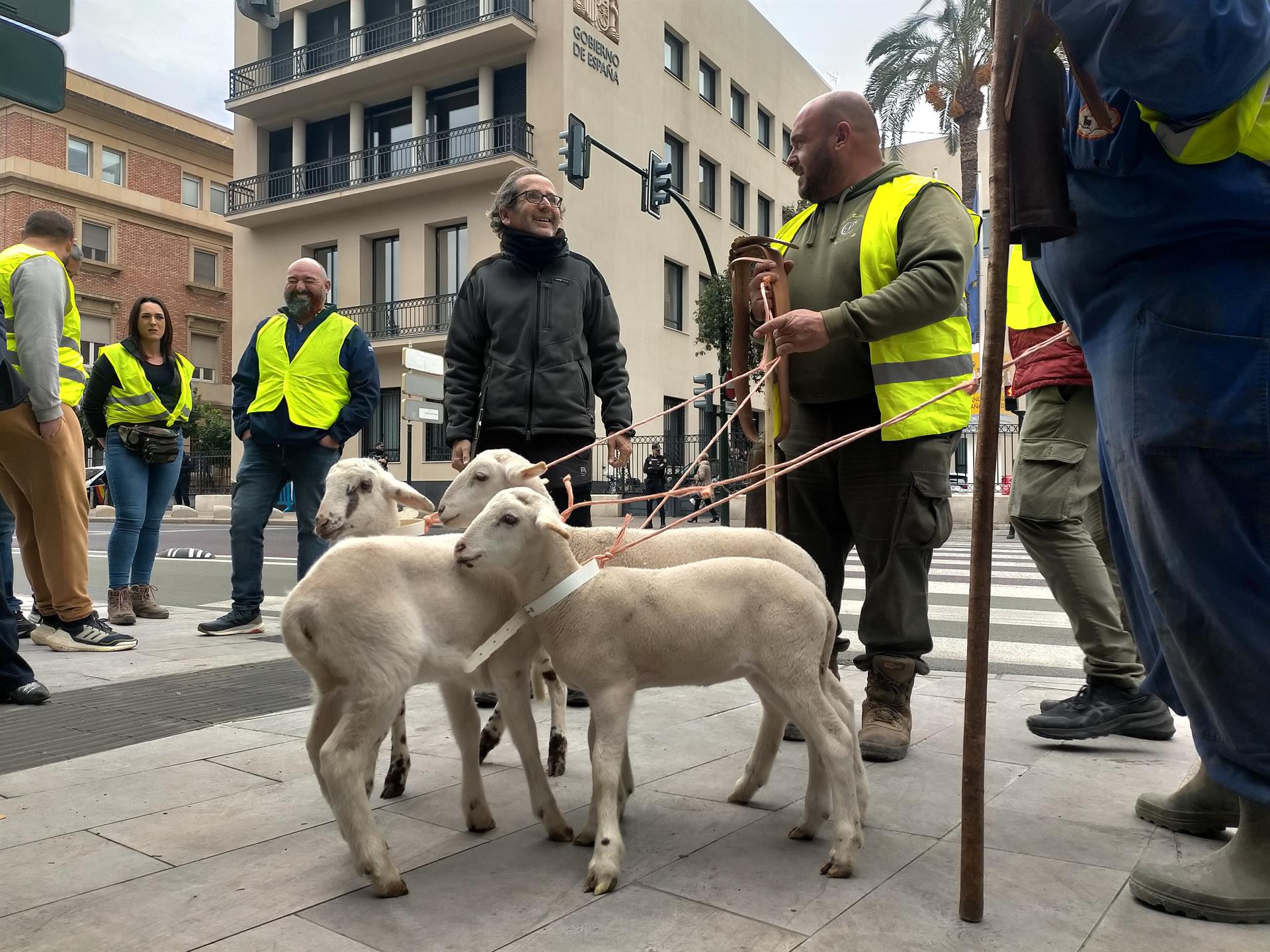 La plataforma 6F asegura que protestará este fin de semana a pesar de no tener permiso La plataforma 6F asegura que protestará este fin de semana a pesar de no tener permiso