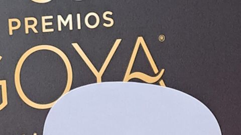 Pai pai en los Goya con el lema '#SEACAB&Oacute;'