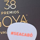 Pai pai en los Goya con el lema '#SEACABÓ'