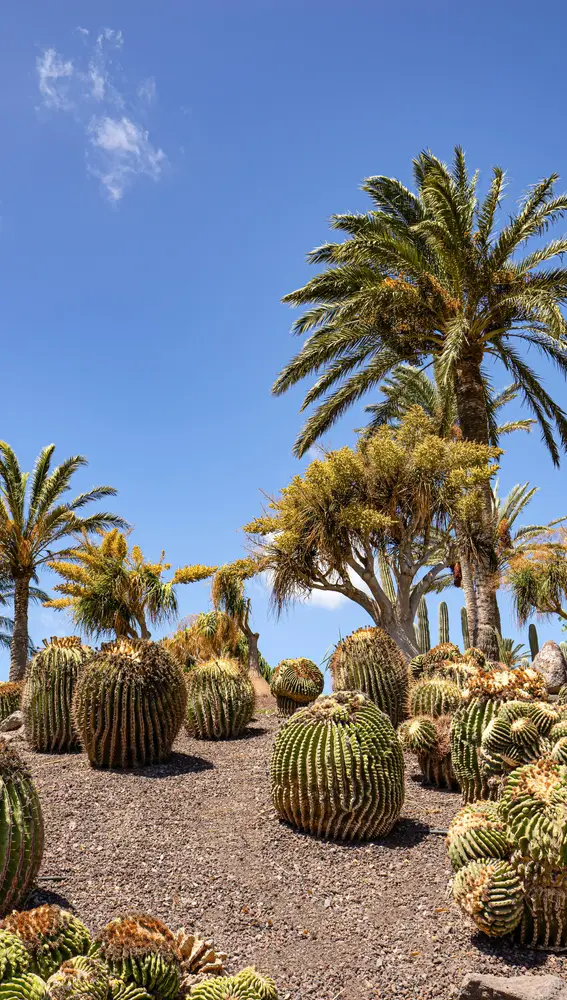 Betancuria - Fuerteventura