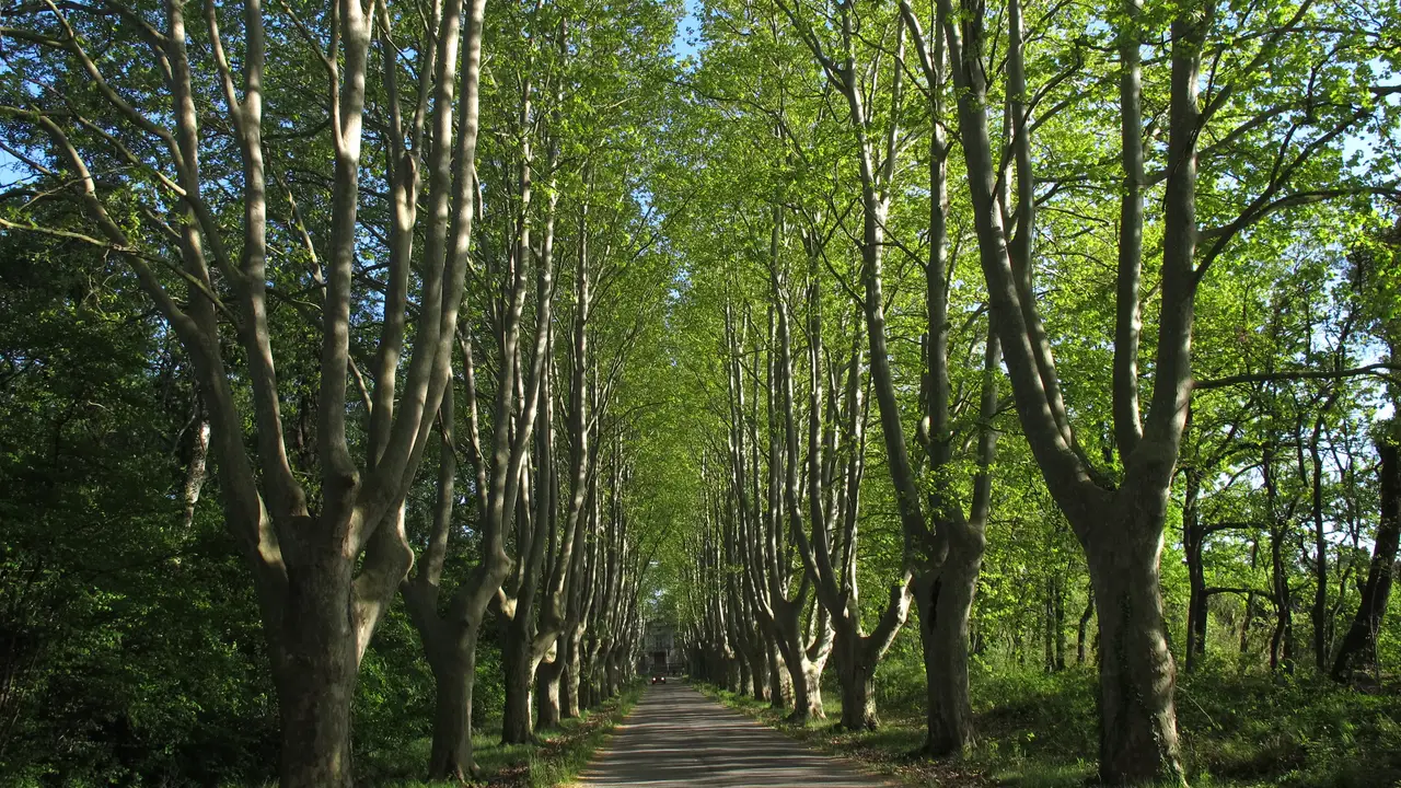 La Provenza La Provenza