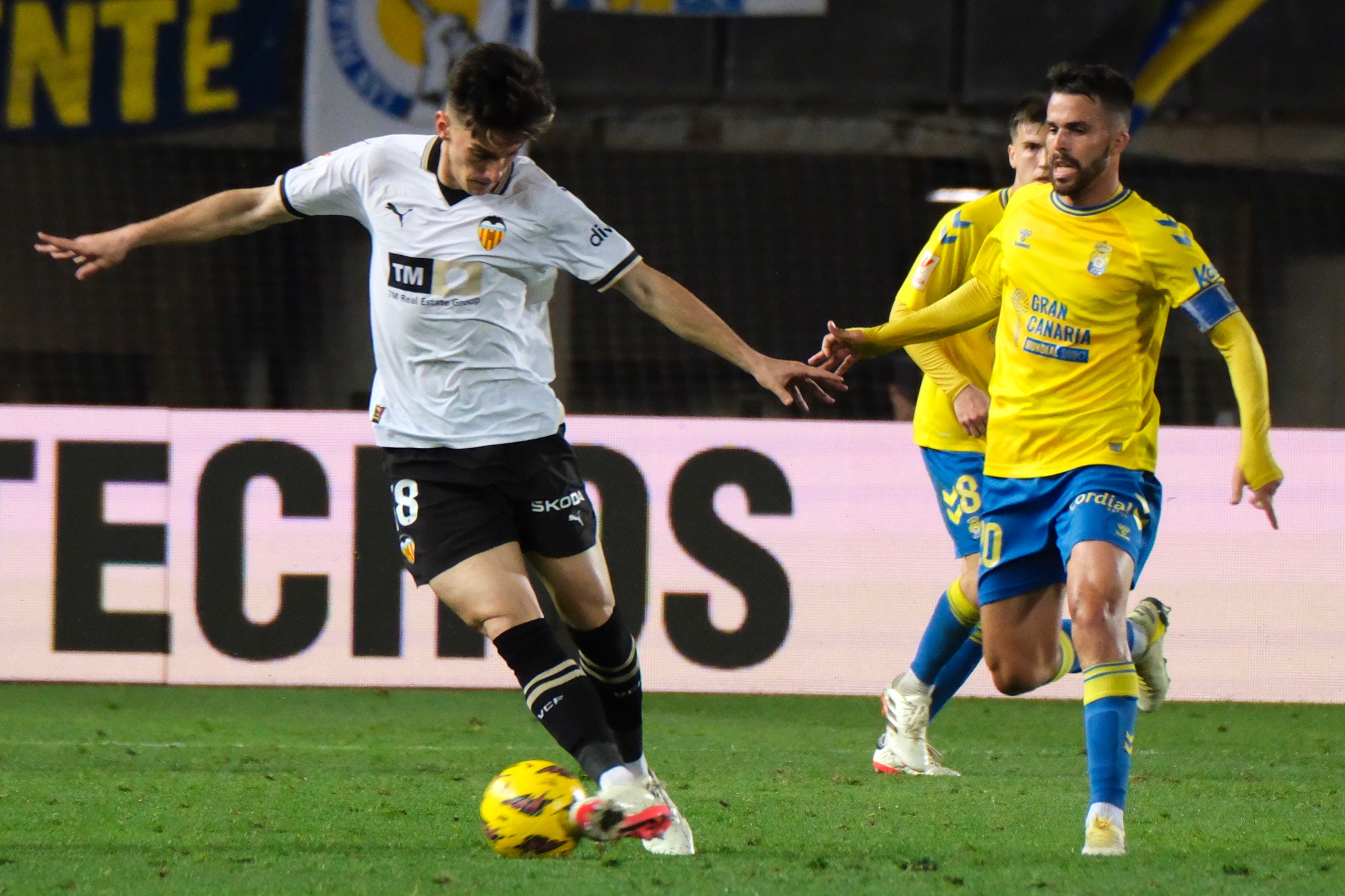 UD LAS PALMAS VS. VALENCIA CF: La serpiente amarilla UD LAS PALMAS VS. VALENCIA CF: La serpiente amarilla
