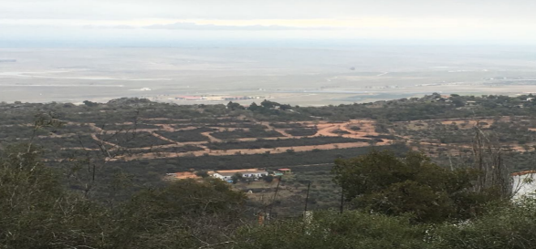 La empresa de la mina de Cáceres no opta a la declaración de Proyecto Estratégico por el retraso en la tramitación La empresa de la mina de Cáceres no opta a la declaración de Proyecto Estratégico por el retraso en la tramitación