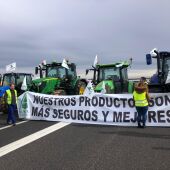 Algunos tractores este miércoles en la A-43 en Villar de Cantos (Cuenca)