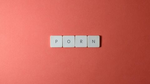 El consumo de pornograf&iacute;a va en aumento