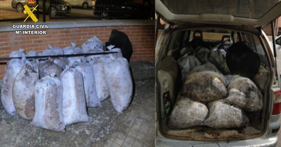 Recuperan 10.000 kilos de aceituna robada en Ciudad Real, Toledo y Cuenca y detienen a diez personas Recuperan 10.000 kilos de aceituna robada en Ciudad Real, Toledo y Cuenca y detienen a diez personas