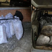 Aceituna recuperada por la Guardia Civil Aceituna recuperada por la Guardia Civil