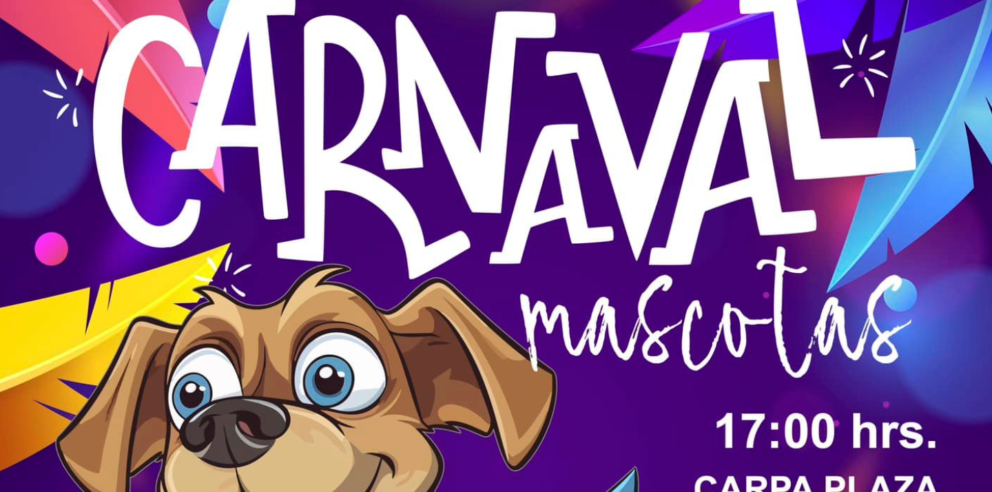 Entrevista: Cangas de Onís acoge este sábado su Carnaval de Mascotas Entrevista: Cangas de Onís acoge este sábado su Carnaval de Mascotas