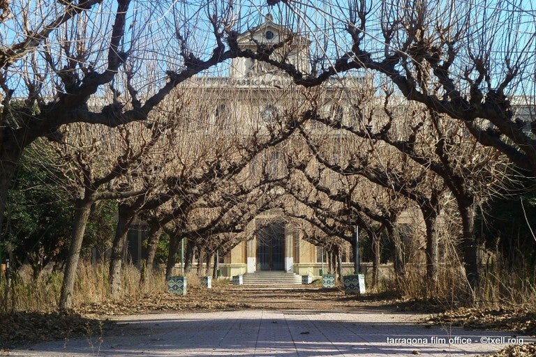 Llum verda al centre universitari a la Tabacalera Llum verda al centre universitari a la Tabacalera