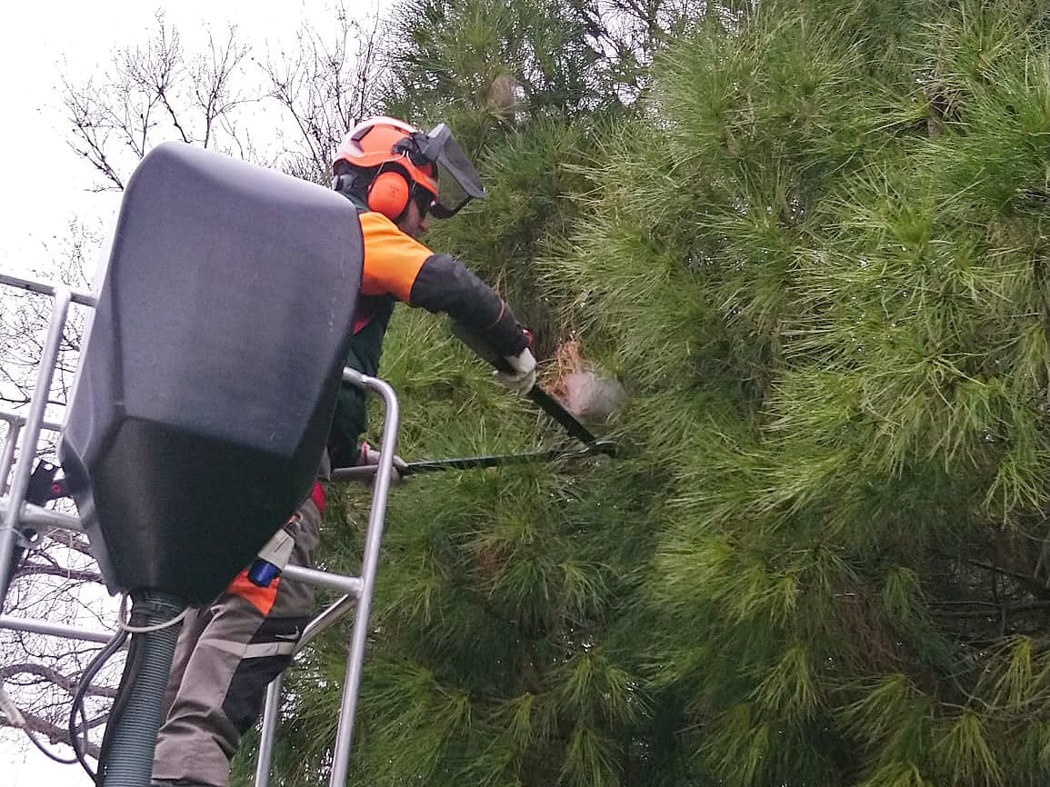 Noticias Alcalá de Henares matinal 19/02/2024 Noticias Alcalá de Henares matinal 19/02/2024