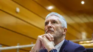 El ministro del Interior, Fernando Grande-Marlaska en el Senado