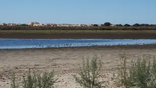 La laguna de Santa Olalla en Doñana