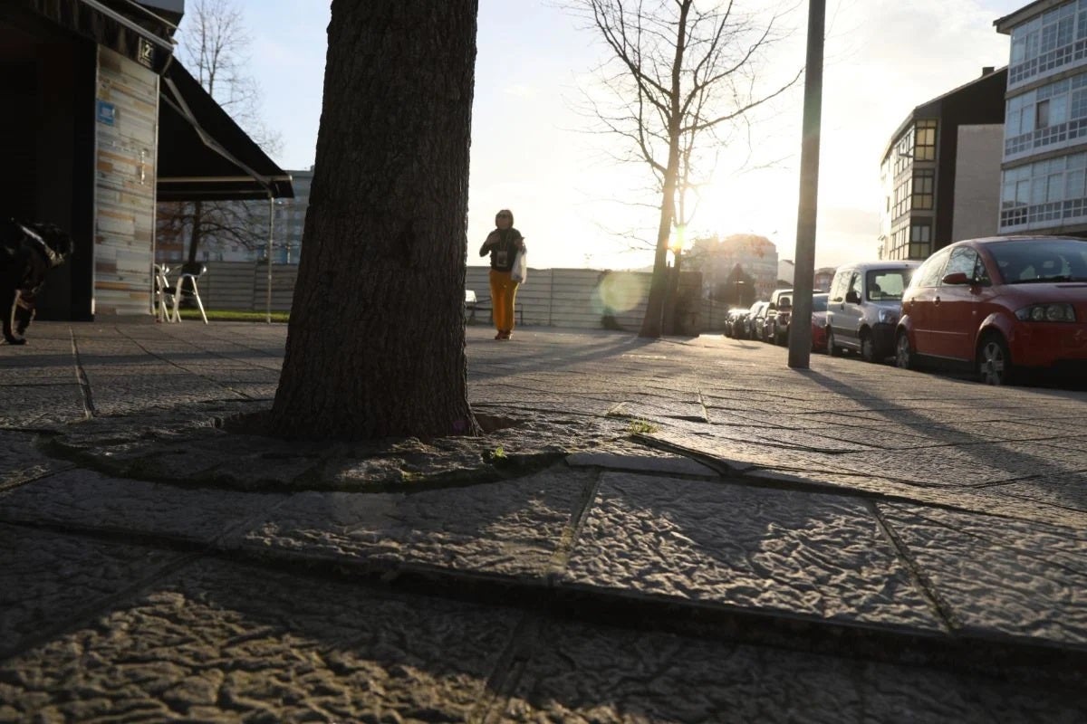 O PP denuncia a nefasta xestión do goberno local no ámbito de seguridade cidadá O PP denuncia a nefasta xestión do goberno local no ámbito de seguridade cidadá